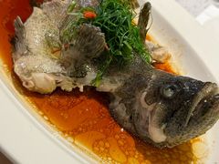 -79号渔船海鲜饭店(宝安店)