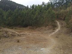 -黄埔油麻山森林公园