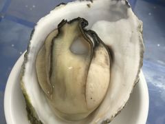 -老杨饭店(万科里店)