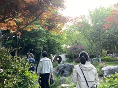 -苏城小院·园林精致苏州菜(斜塘老街店)