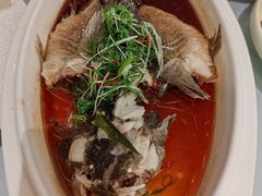 -新雅粤菜馆(南京东路店)