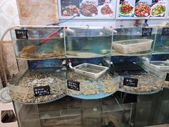 -鑫渔港海鲜本地菜·山海关浑锅(东戴河店)