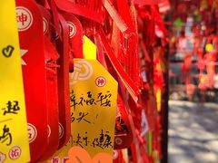 -香山公园