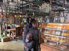 -Africafe(非洲咖啡)