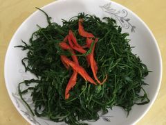 纯天然野菜-山丹皇家马场