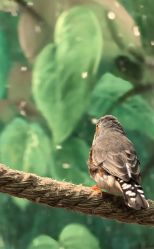 -Zoolung Zoolung动物主题公园(海信广场店)