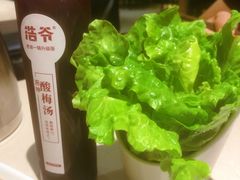 -浩爷羊蝎子火锅(望京店)