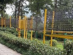 -杭州少年儿童公园