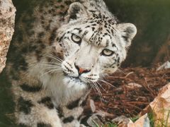 -中国湿地博物馆