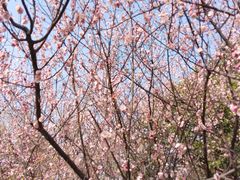 -白塘生态植物园