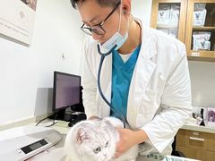 -艾贝尔宠物医院·24H转诊中心·肿瘤猫专科(江宁双龙店)