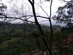 -金鸡山公园