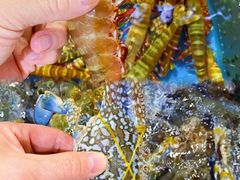 -四川小胡子海鲜(丁村万人海鲜广场店)