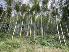 -黄公望隐居地
