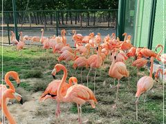 -秦皇岛野生动物园