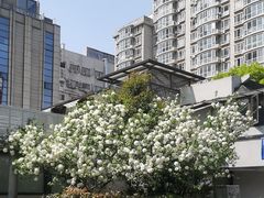 -郑和公园