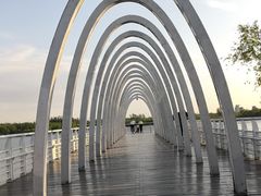 -大兴滨河森林公园