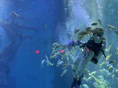 -波塞冬旅游度假区