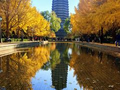 -玲珑塔公园
