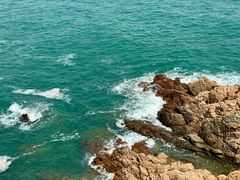 -小麦岛公园