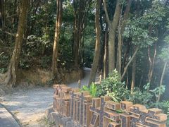 -广州市帽峰山景区