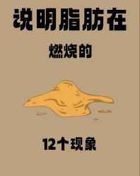 -Fundi张玉珊修身堂·indiba·BTL科技瘦身