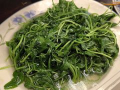 清炒马兰头-下塘街25号农家菜馆(新场店)