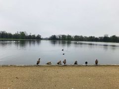 -海德公园