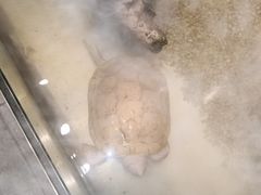 -梅间堂茶馆(绿地缤纷城店)
