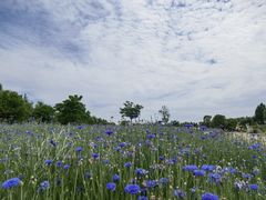 -同里国家湿地公园