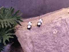 -上海外滩英迪格酒店