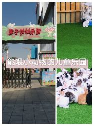 -萌宠亲子动物乐园(槐房万达店)