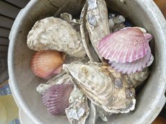 -蚝英雄·鲜蚝自助专门店(小营直营店)