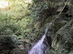 -波尔登森林公园