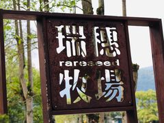 -瑞穗牧场