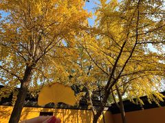 -西园戒幢律寺