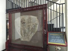 -房山世界地质公园博物馆