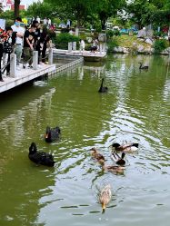 -玄武湖景区-情侣园游乐场