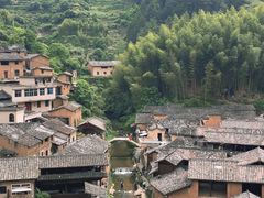 -杨家堂村