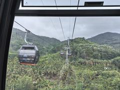 -呀诺达热带雨林