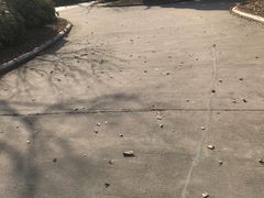 -深业半汤御泉庄温泉