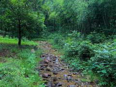 -宝界山林公园