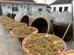 -苏州市吴中区光福窑上花果蜜饯厂