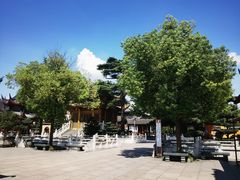 -上海东林寺(金山区)