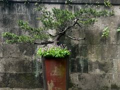 -韬光茶庵