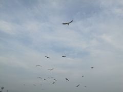 -星海湾跨海大桥