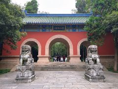 -灵谷景区
