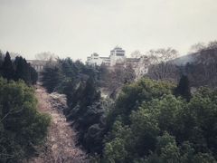 -武汉大学-樱园