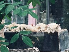 -天津市动物园