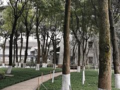 -重庆市江北嘴中央商务区中央公园